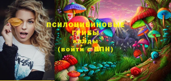 тгк Армянск