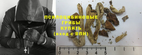 крисы Аркадак