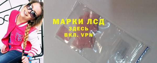 крисы Аркадак