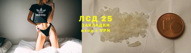 гидра Арсеньев