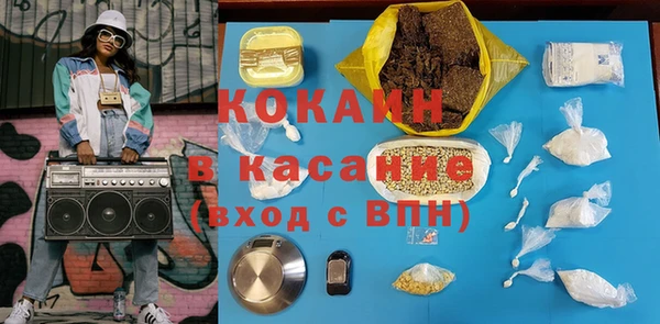 гидра Арсеньев
