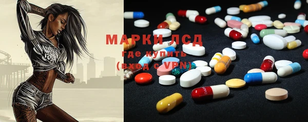 крисы Аркадак